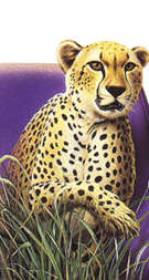 Click This Ad To Visit Our Website